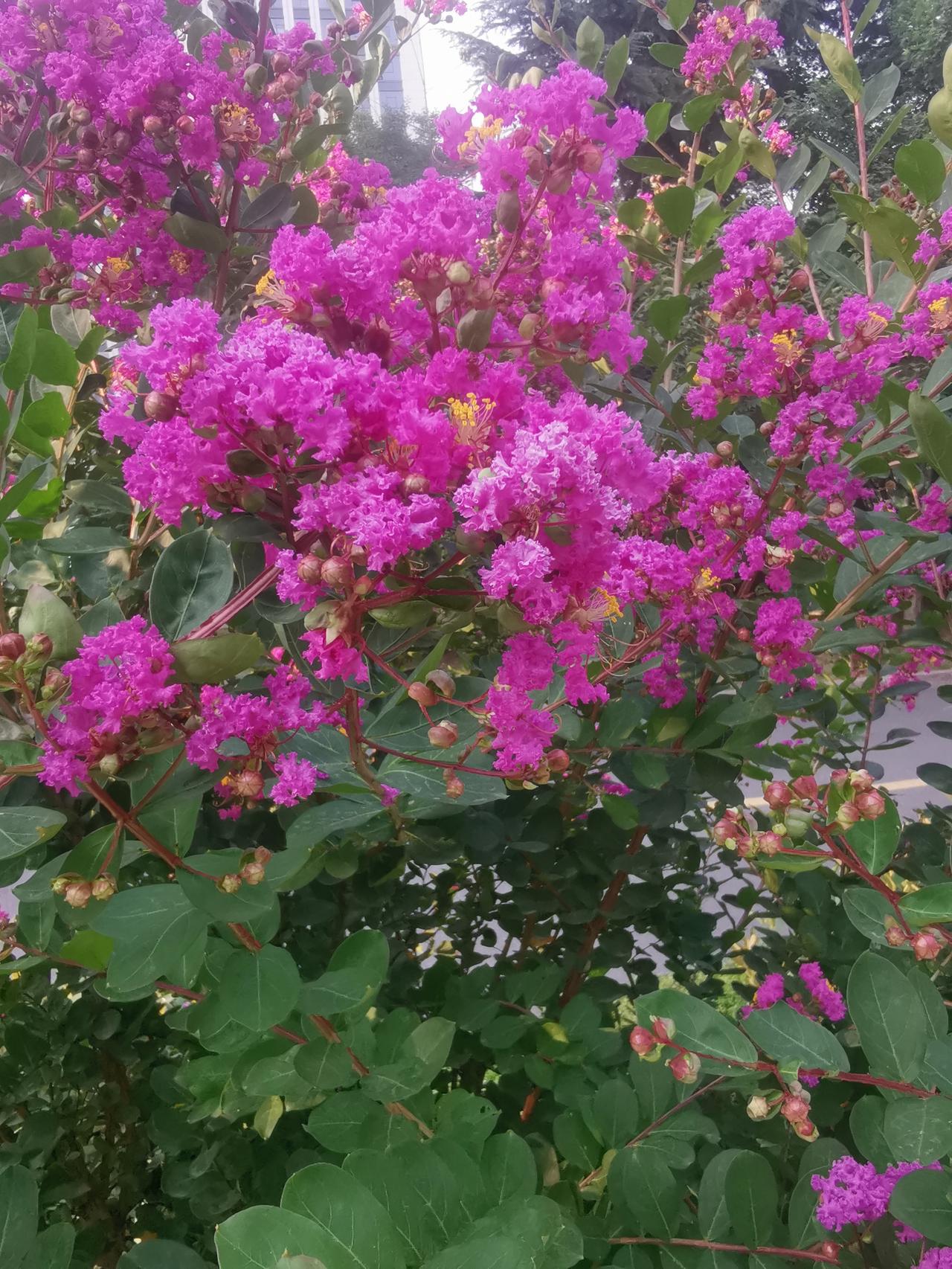 我认为不值得。假期热门景点=大型渡劫现场。长城堵成人体传送带，西湖变成人湖，洪崖