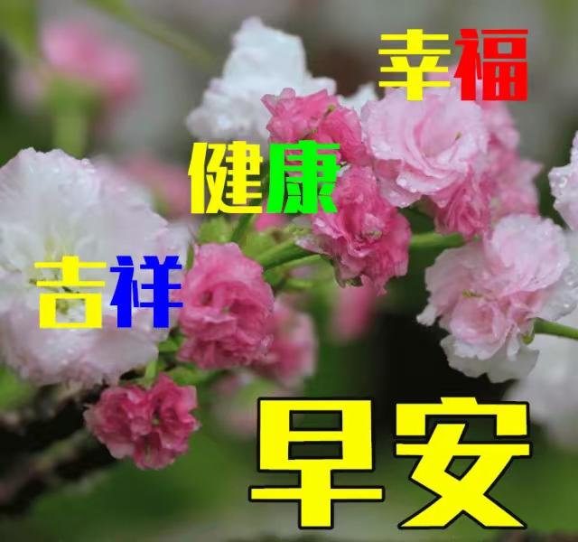 南浦诗联微信群交流录47
                           