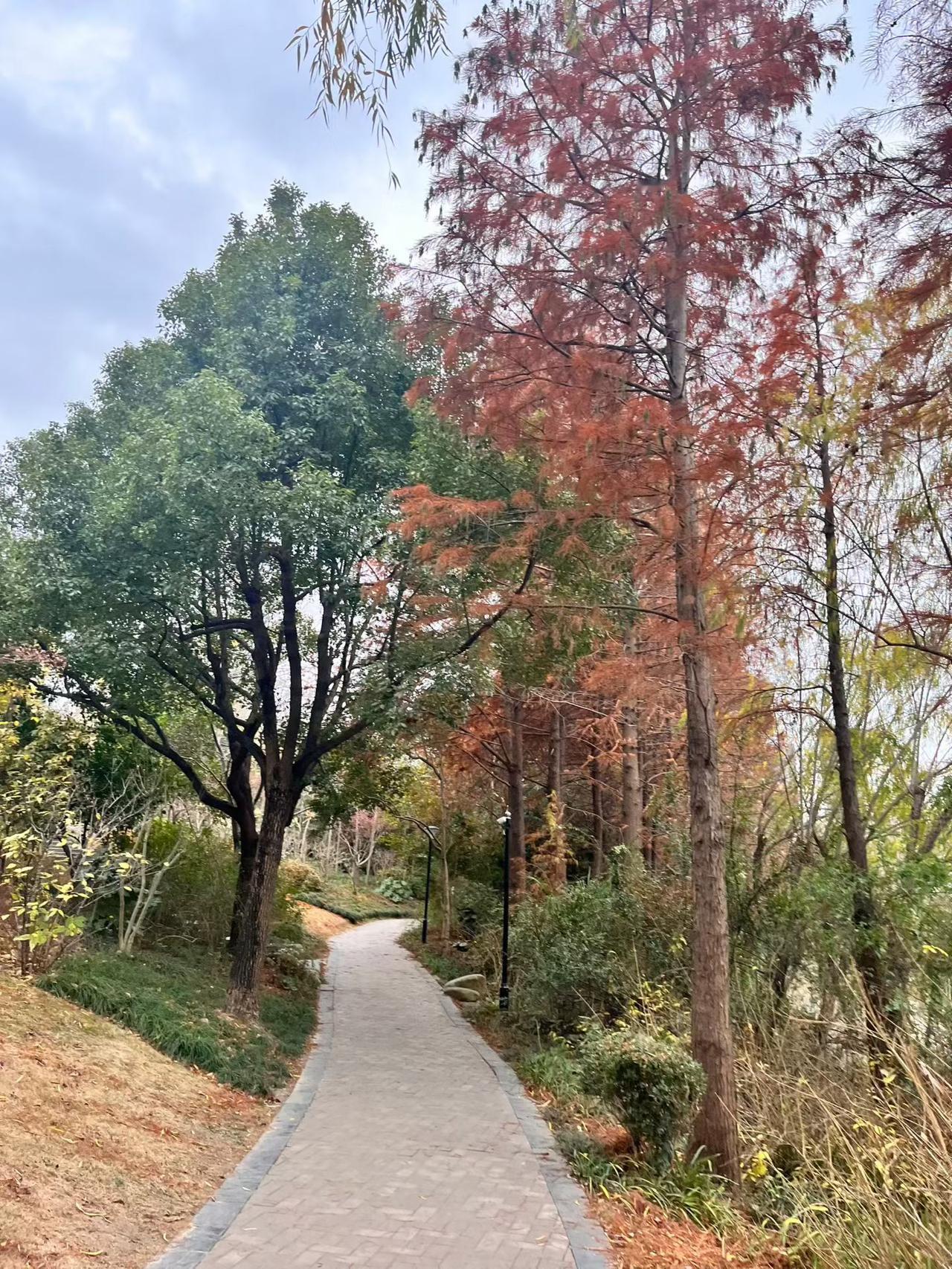 ☀️
美好的一天开始！

把热爱藏进晨光，把欢喜写满日常
每一天，都奔走在自己的