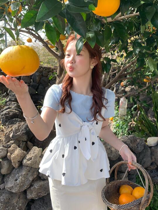 济州岛橘子大丰收🍊
