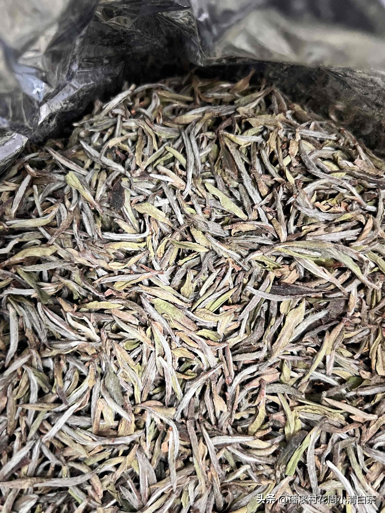 不少茶友会误以为带梅子香的老白茶是好茶，商家也常以此作为卖点。但实际上，不管是散