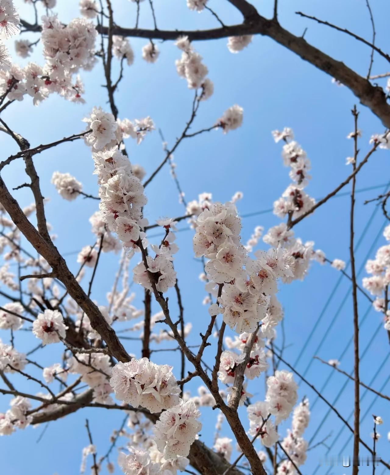 到底什么是幸福
其实很简单
不是大富大贵
就是家人平安身体没病
饿了有饭吃累了能