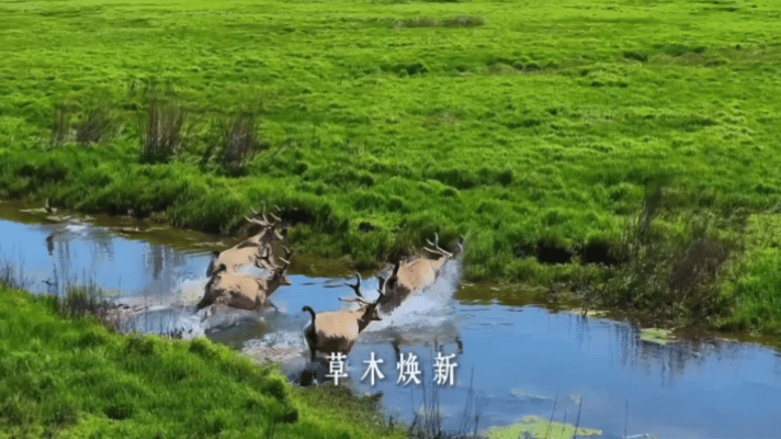 和张杰一起打卡春天里的中国春意盎然的季节搭配张杰的声音真的生机勃勃的感觉，和张杰