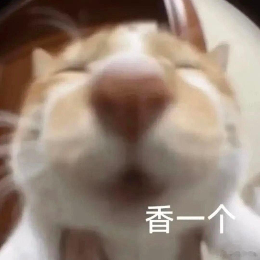表情包分享。 