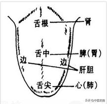 心肺看舌尖，肝胆看舌边，脾胃看舌中，肾看舌根

心肺看舌尖
心肺火旺——舌前红/