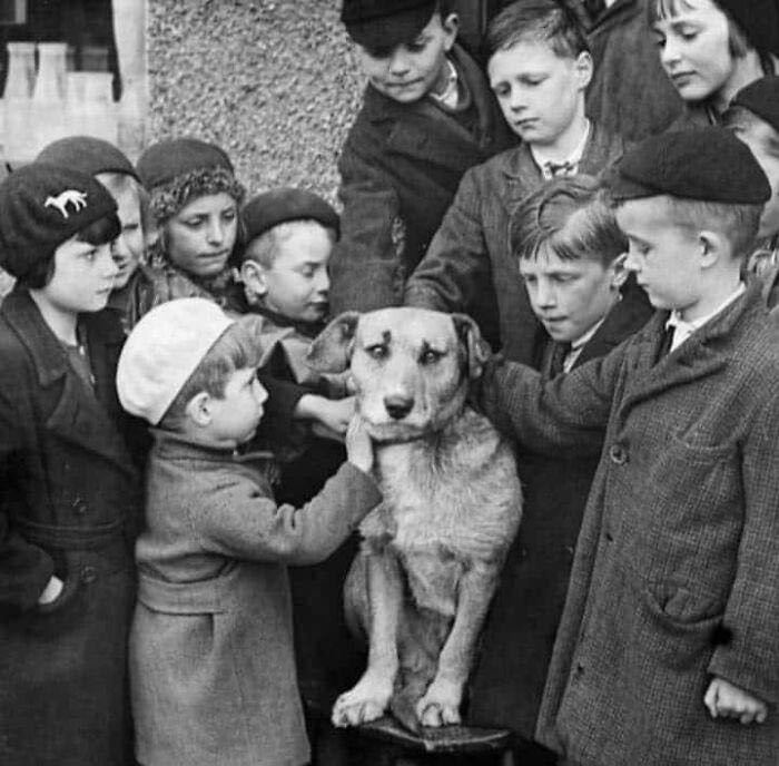 【来自投稿】1936年，英国，一群孩子正在安慰一只主人去世了的狗狗，他们也将会负