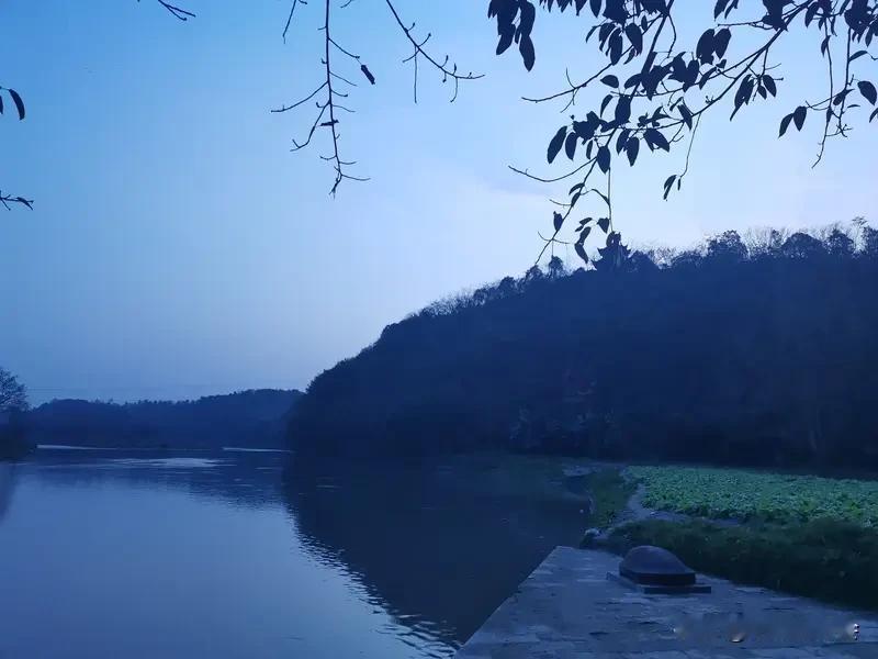 要说世界上最亲的人，那非父母莫属。小时候，我体弱多病，爸妈轮流在医院陪床，几天几