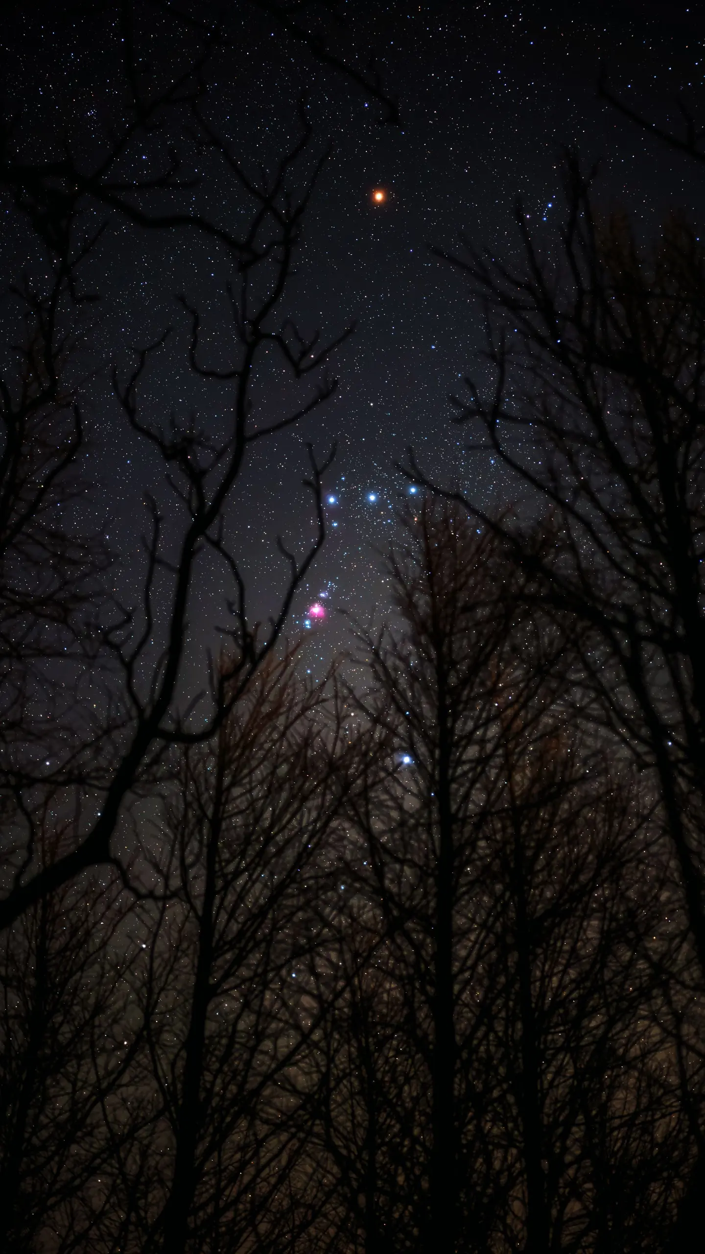 嗯对，回村我就这样拍星星。