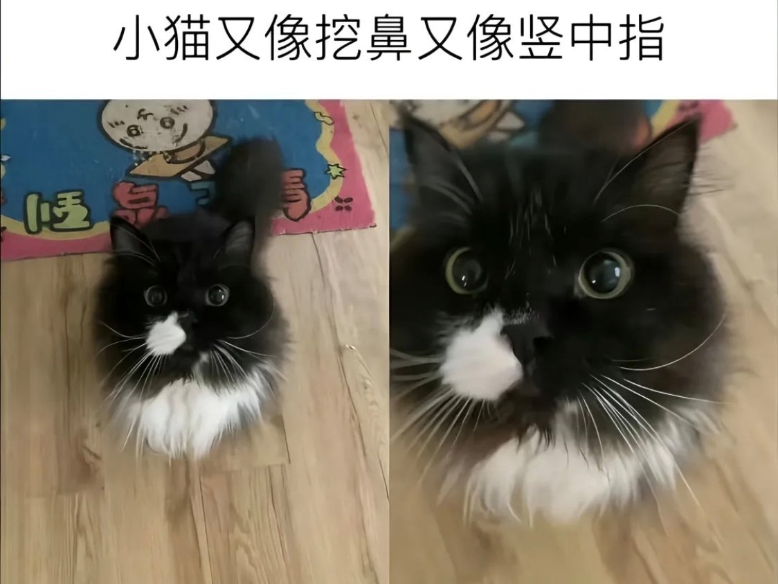 [挖鼻] ​​​
