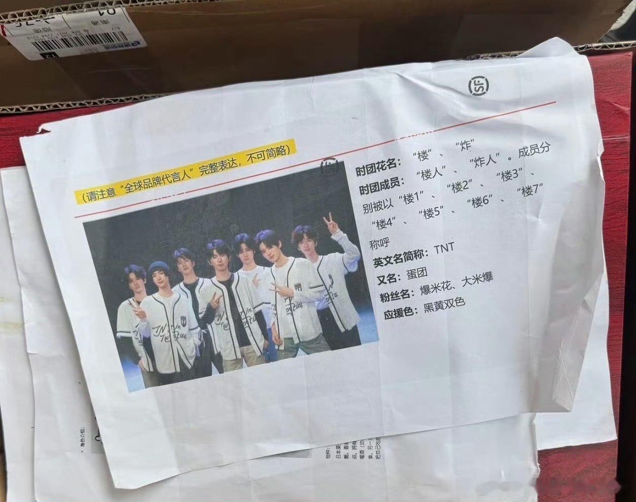 全球品牌代言人
