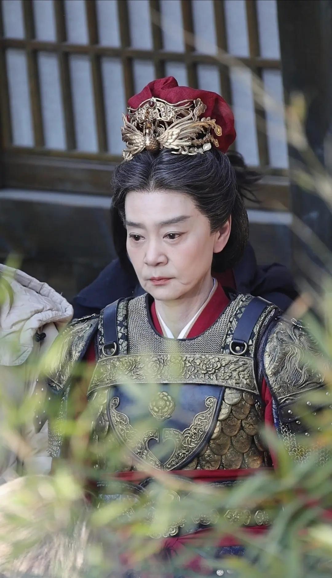 66 岁的刘雪华也开始演女将军了，看这个精神头真的有点不错啊哈哈哈，是盐的樊梨花