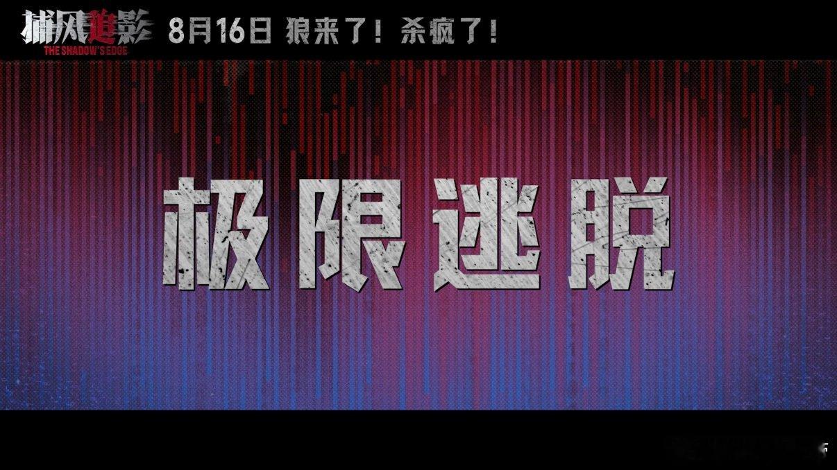 电影捕风追影预告他逃他追 龙叔新作！这打戏看的人热血沸腾? ​​​