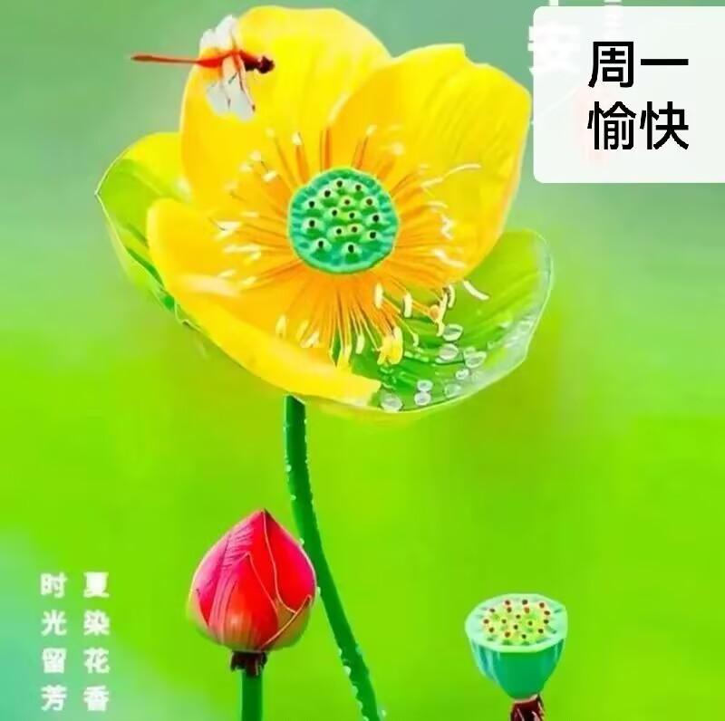 人生中出现的一切   都无法拥有 只能经历  深知这一点的人 就会懂得 无所谓失
