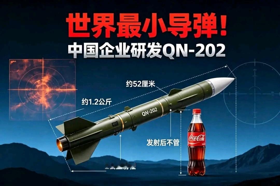 世界上最小的导弹！！！！
能靠感应热源锁定目标，人有体温，发动机有热量，车辆有高