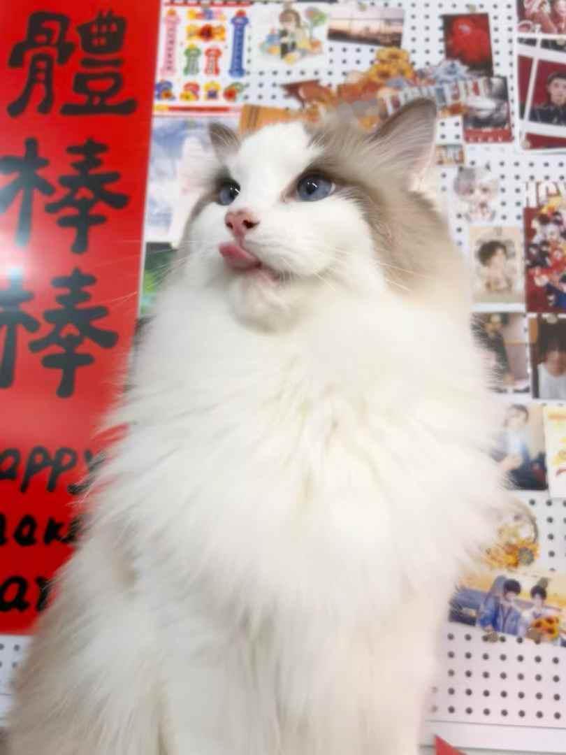 分享图片 