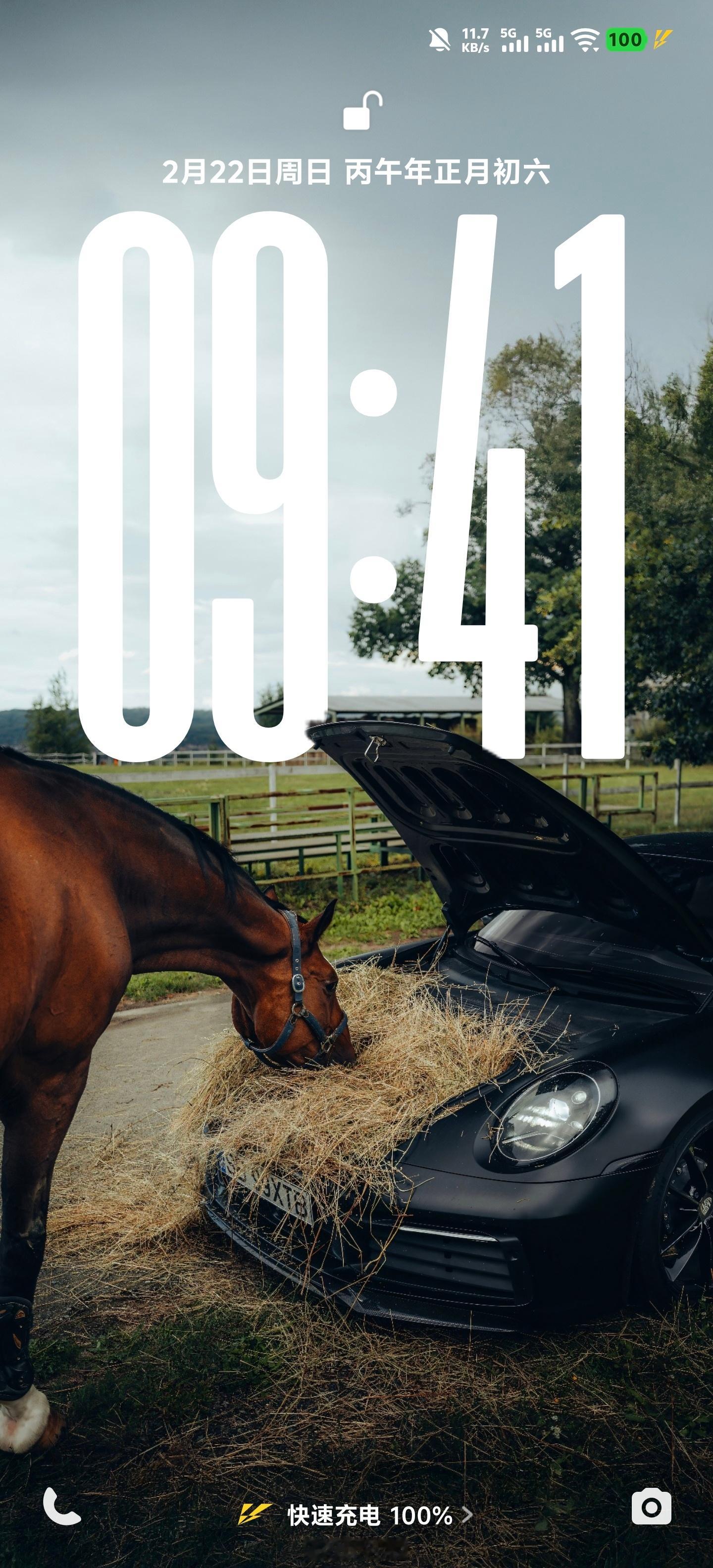 没想到我在小红书买壁纸，6 块钱马年，搞个马 如果遇到特别喜欢的，大家会花钱买壁