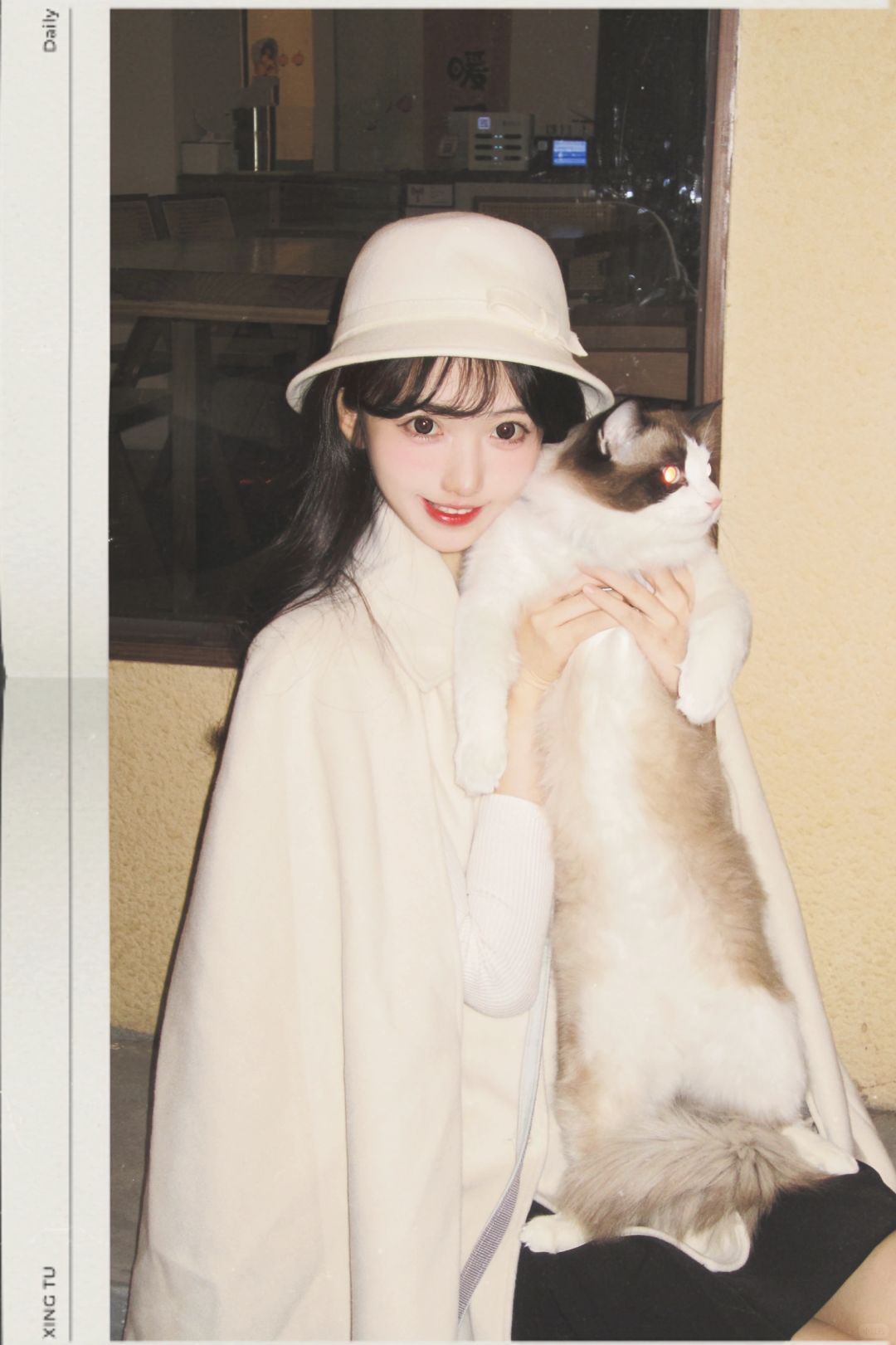 ₊⁺♡̶₊⁺。!!~★˖˚˳🐈‍