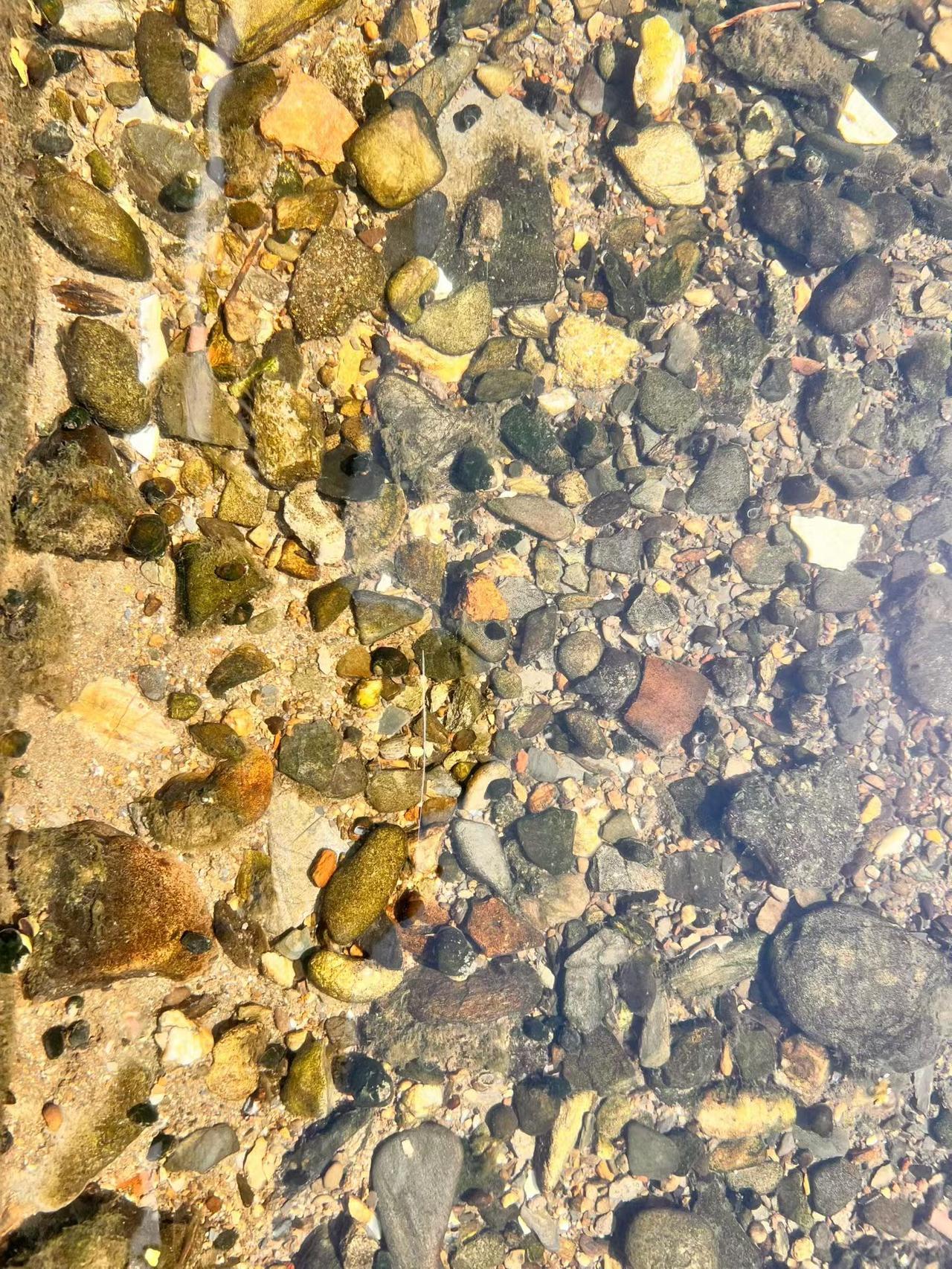 一同考编上岸的四个室友三个犯了错，我们四个都是同一批的公务员，都是来自不同地方的