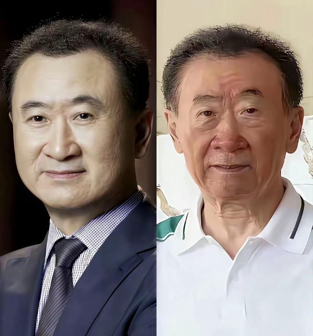 看着王健林苍老的面容，再瞥见王思聪落魄的背影，不禁想问：人生的意义到底是什么？曾