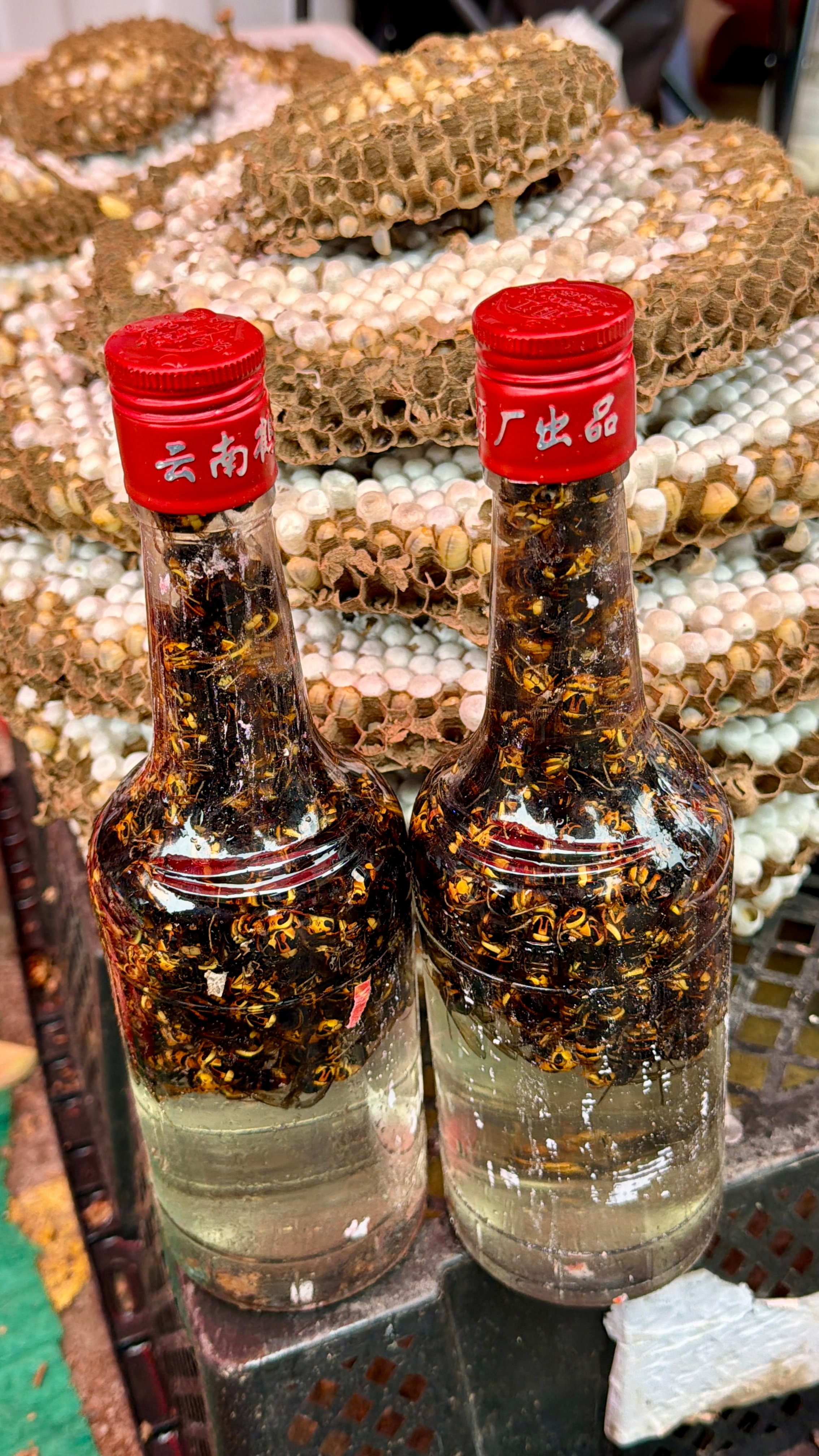 云南山货🍄‍🟫有没有你想要的马蜂酒仅2瓶¥190/瓶（包邮）野生杂菌¥190