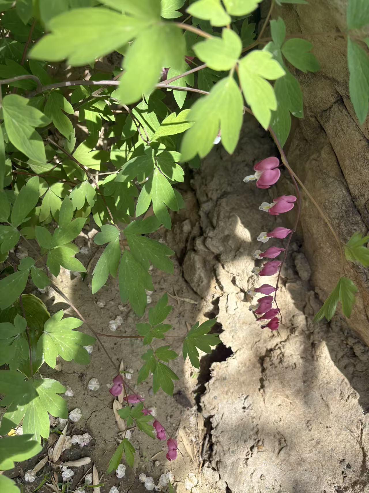 晒图笔记大赛太阳宫公园