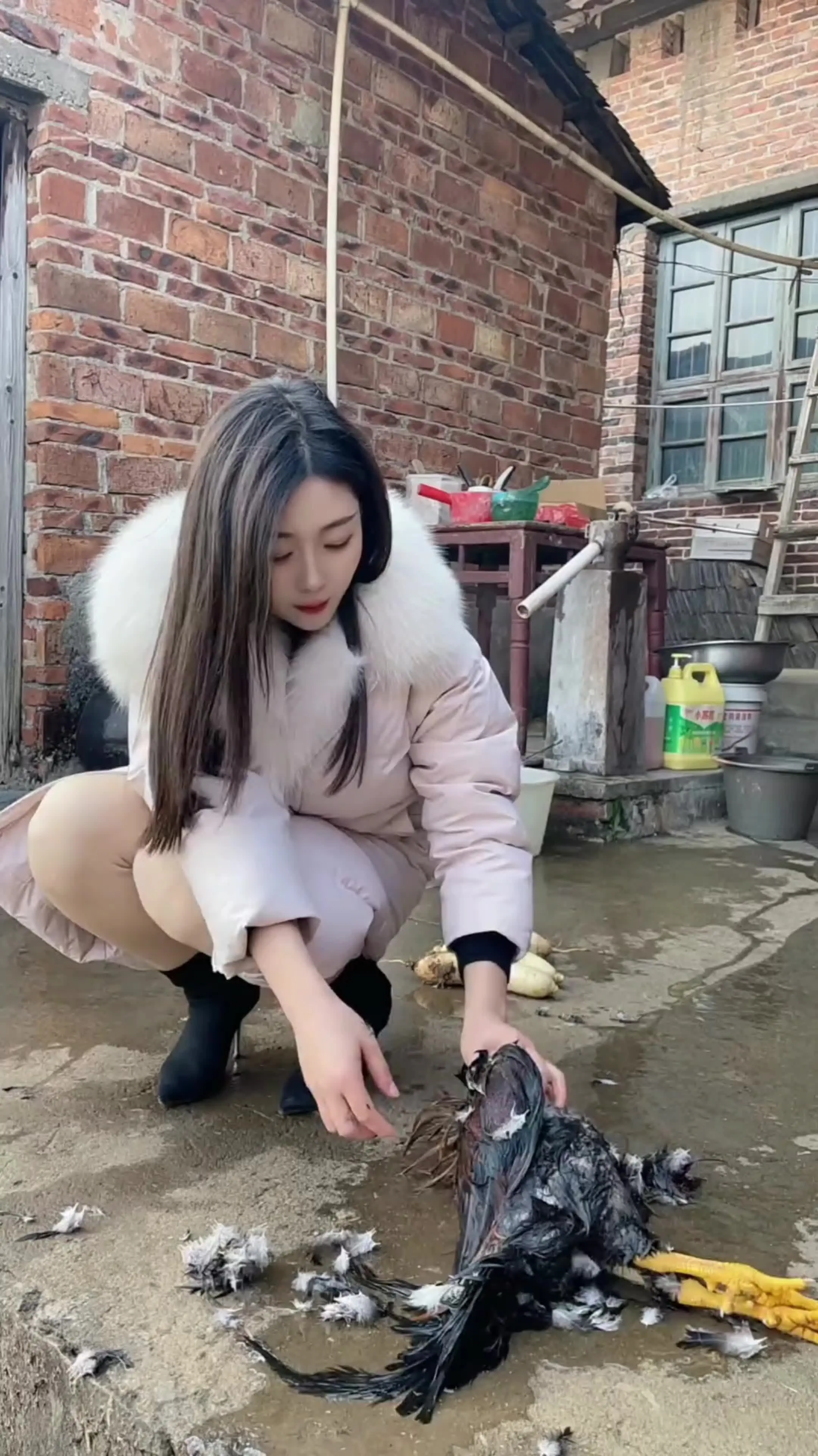 你说彩礼是对等的 那你的态度呢结婚
