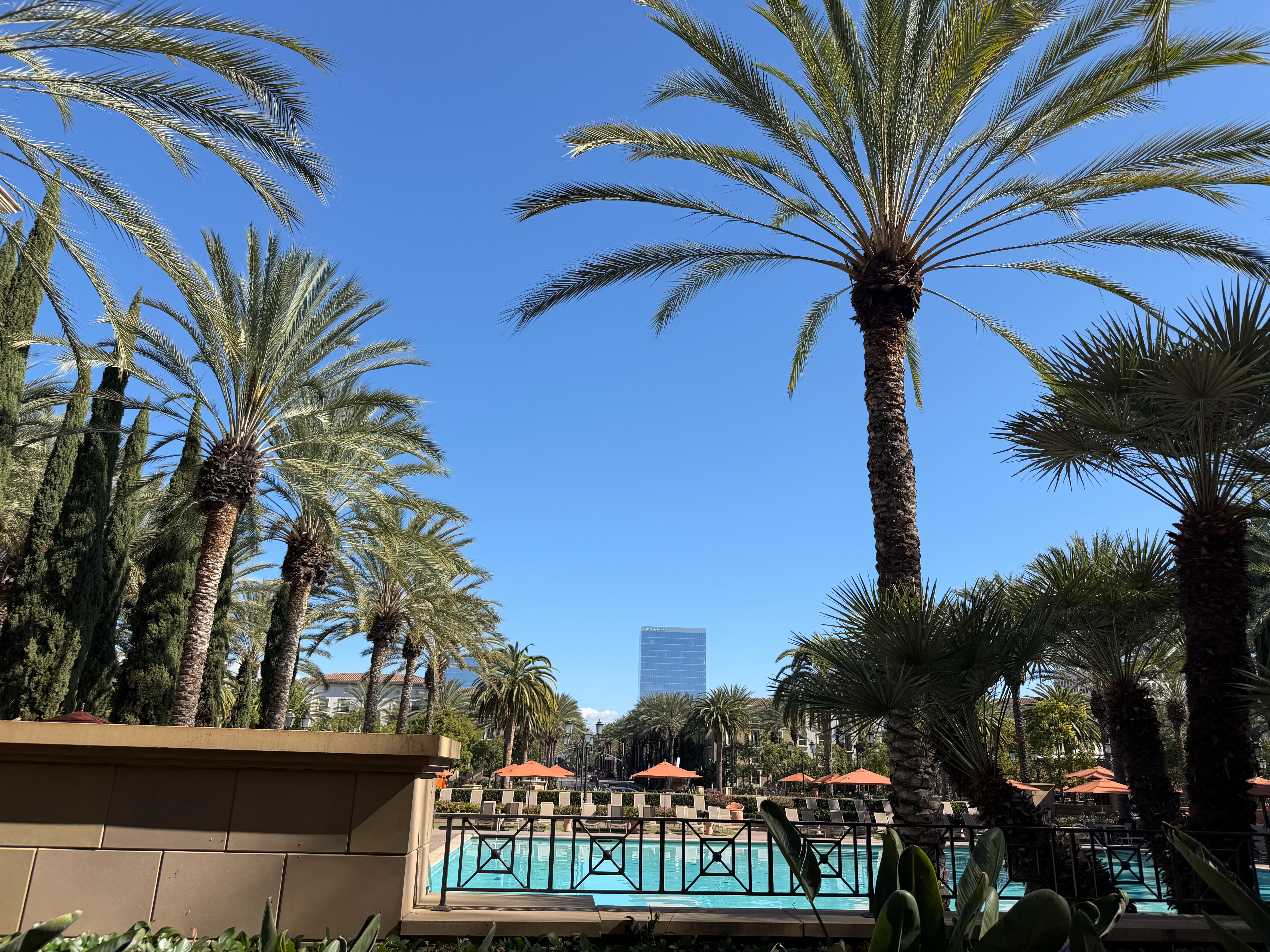 中国免签国达79个热点解读 美联社报道，从周二开始，英国和加拿大公民可以免签入境