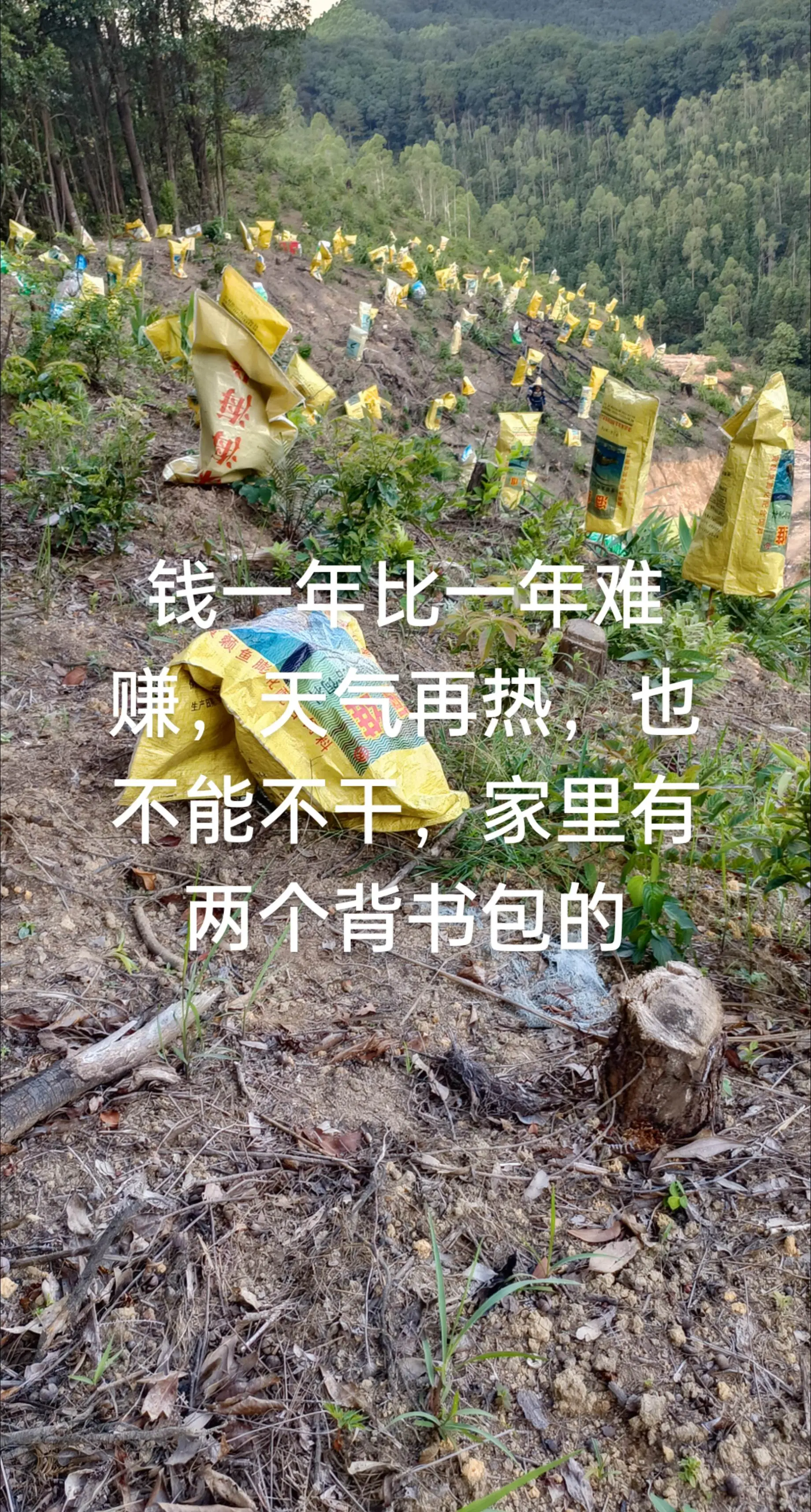 钱不得钱，工作那么难做真的一点动力都没有