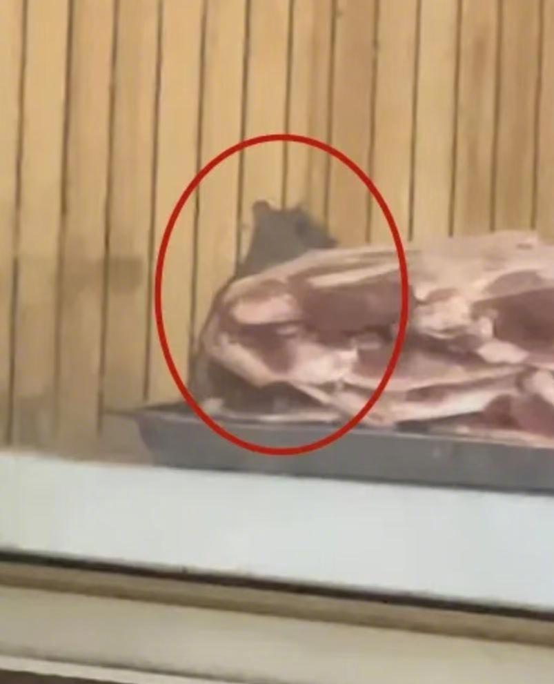 #衡水羊肉汤店老鼠啃肉被责令停业#【#衡水景县回应老鼠在羊肉汤店啃生肉#：责令停
