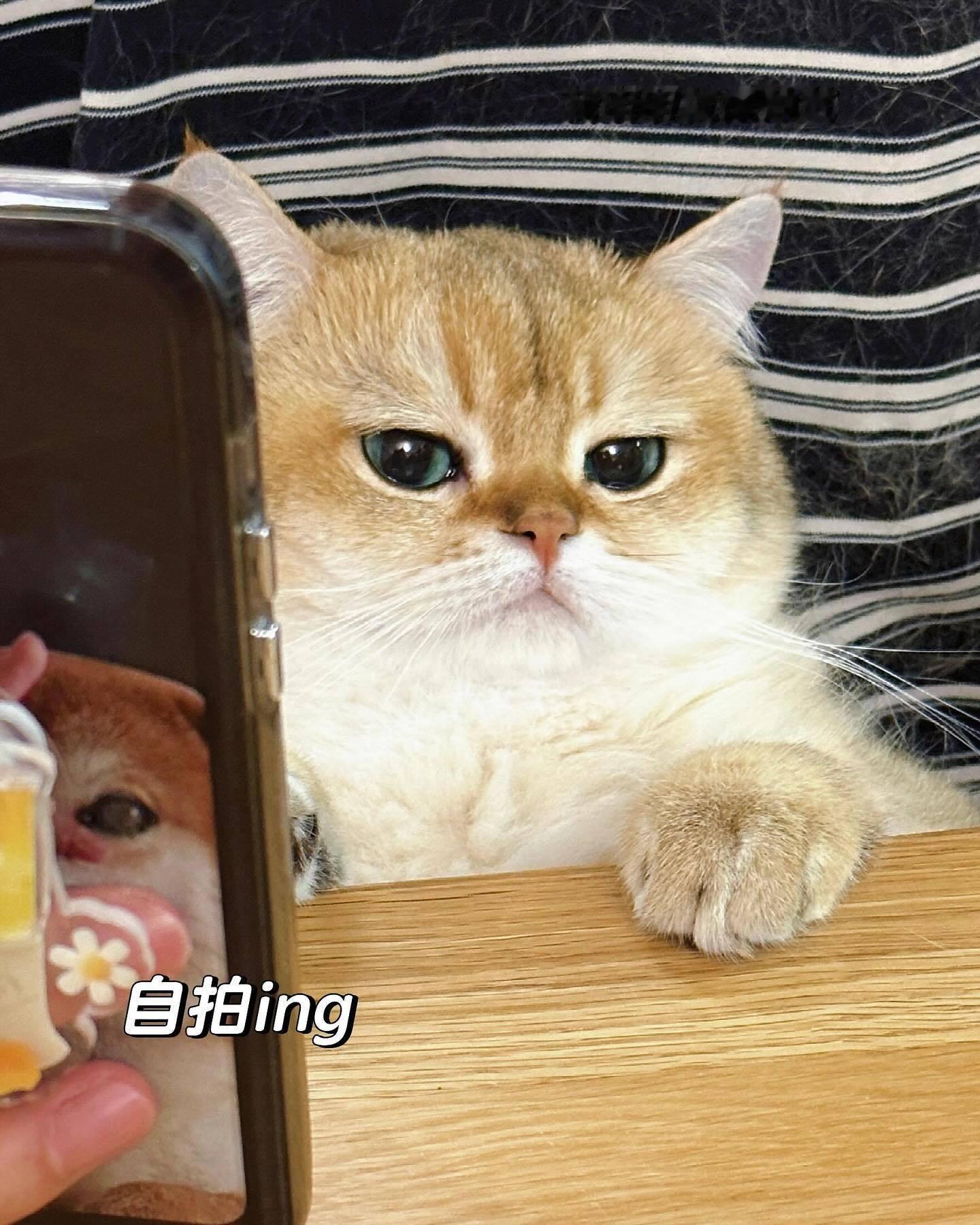 帅的要死