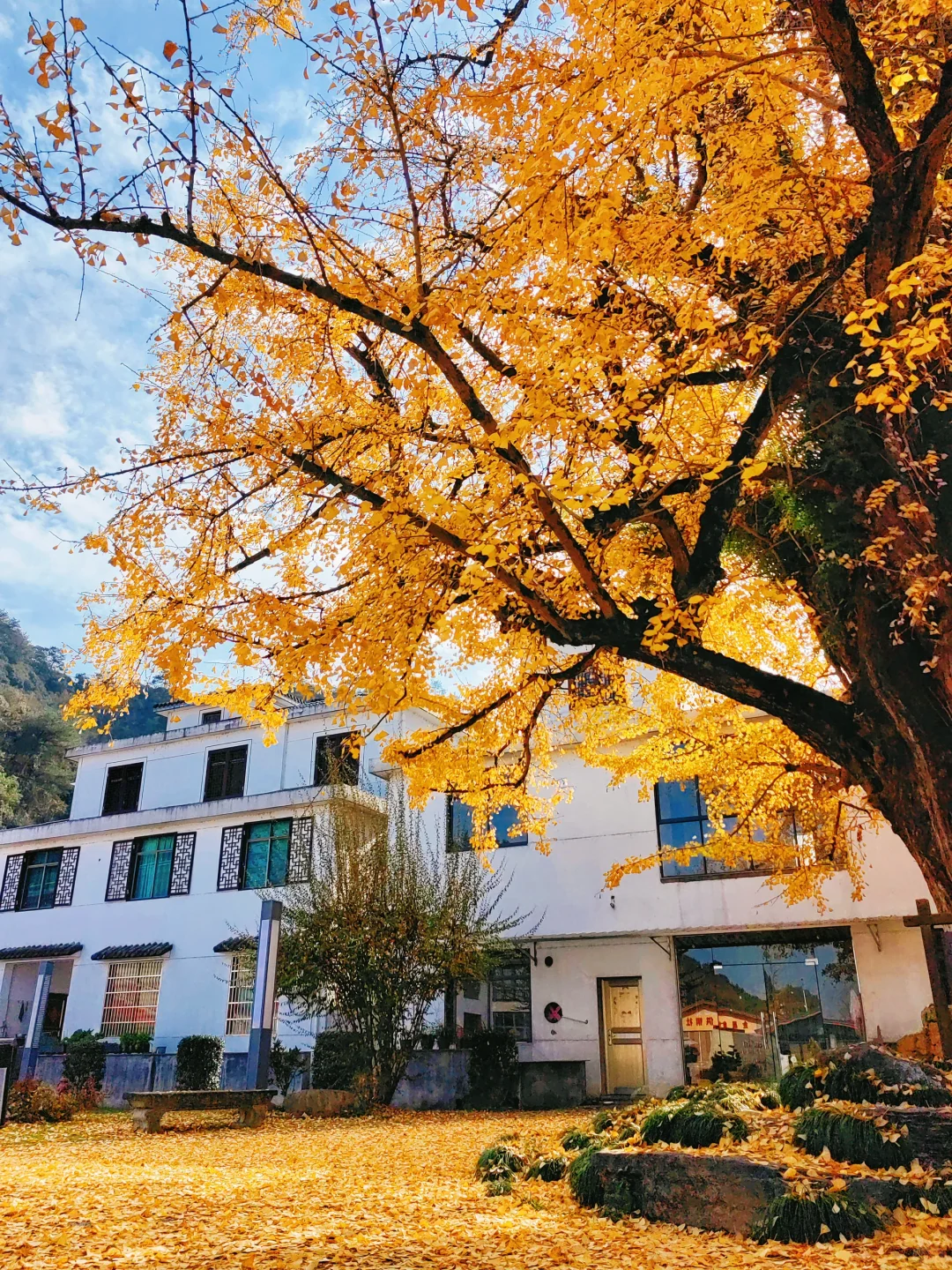 秋冬度假的乡野暖居，最适合想逃离城市的你