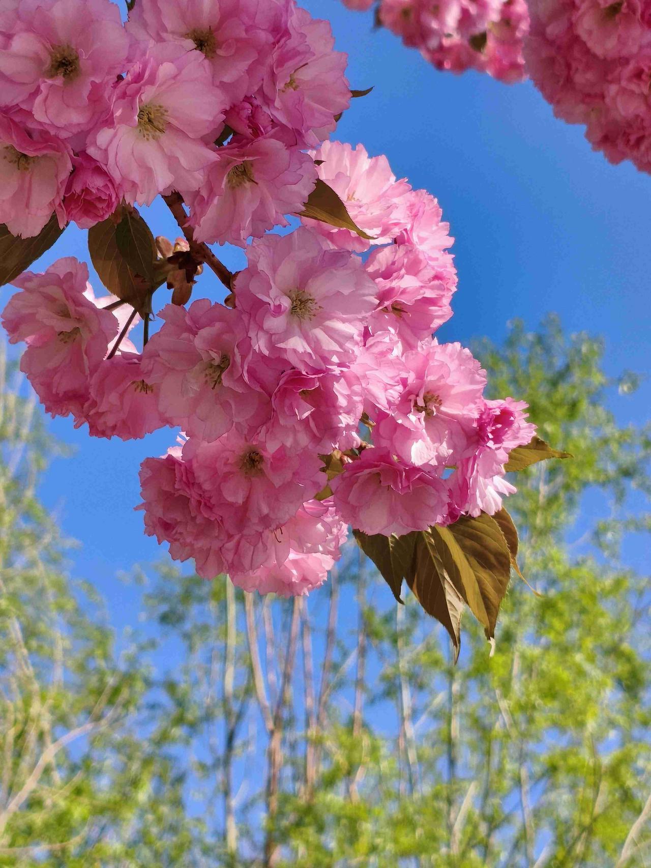 张家界自驾游终于要出发啦，今天在家忙了一天，做出游准备。

吃完早餐，第一件事就