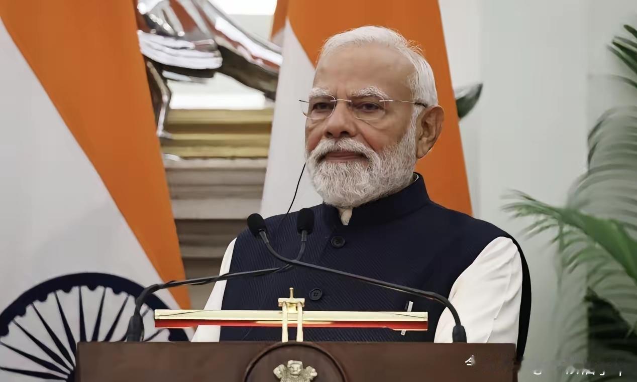 印度AI界搞大动作！12月29日，电子与信息技术部秘书克里希南官宣，2026年2