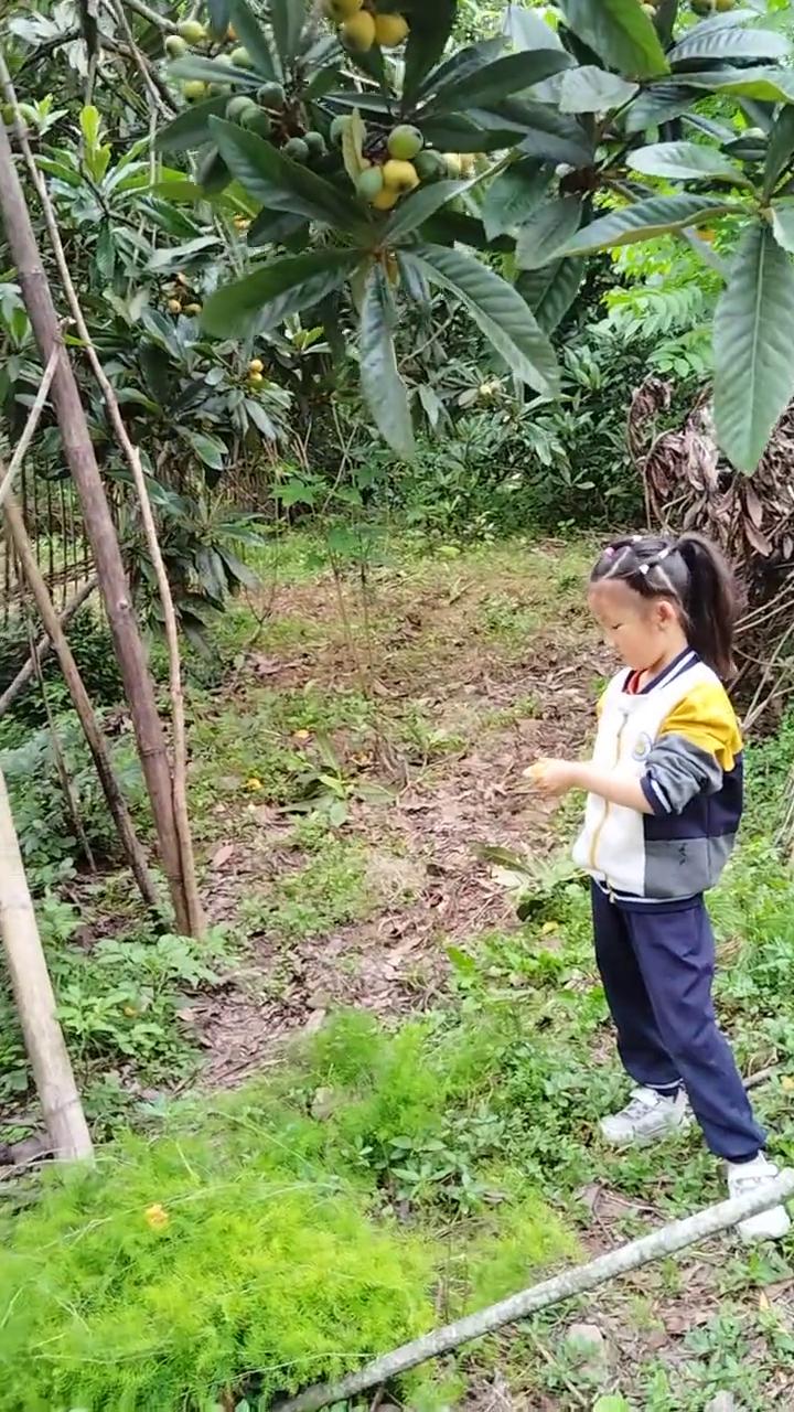 全都起，当真不要钱，就是管他的，直接往地下弄就是了，反正不要钱。