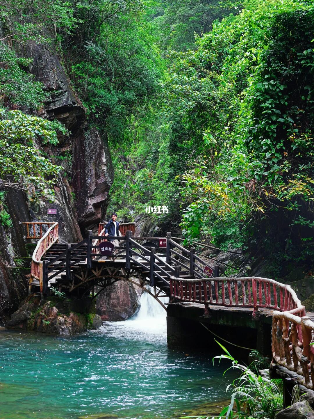 广州别太离谱！居然藏着这么美的世外桃源