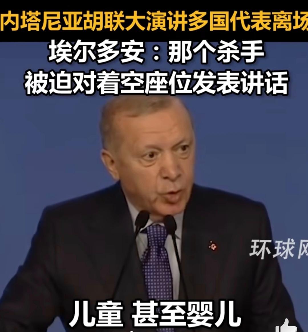 土耳其总统说以总理是杀手埃尔多安“杀手”之评，本质是地缘立场的激烈表达。土耳其既