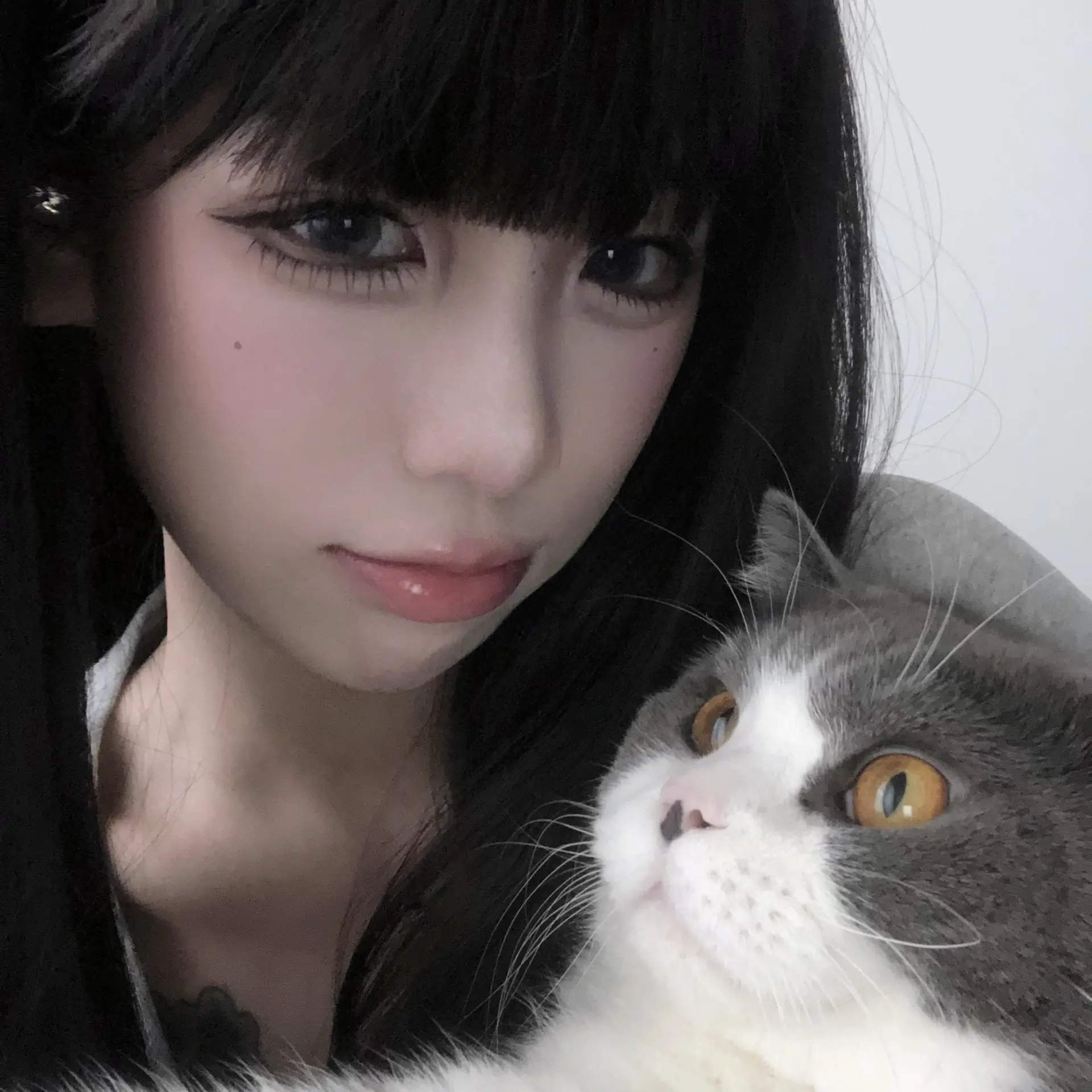 hi 我的好朋友们