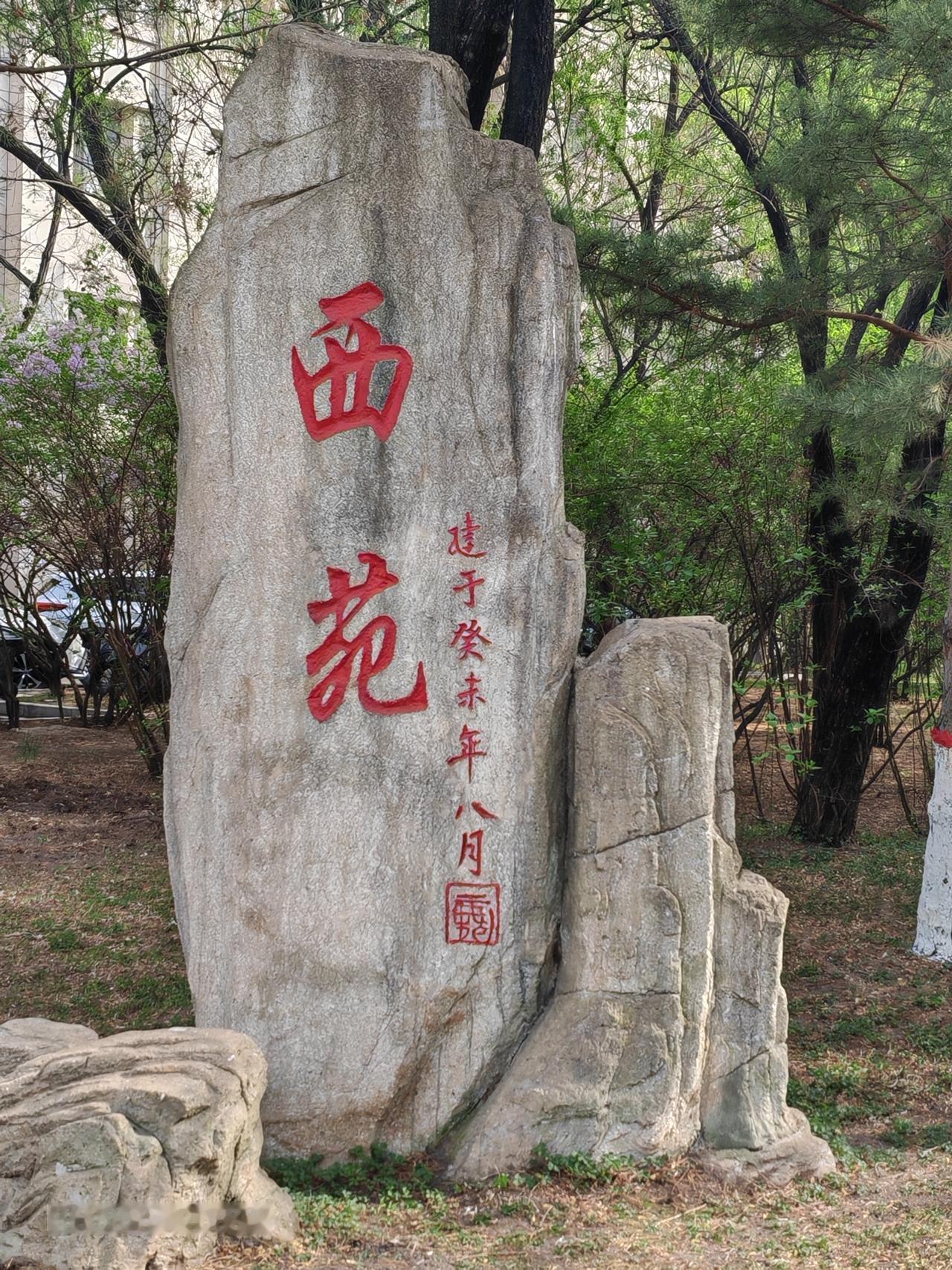 记录我的2026