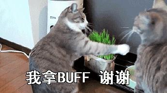 【长得越丑活得越久？】裸鼹鼠是一种原产于非洲东北部分地区的小型穴居啮齿动物，它们