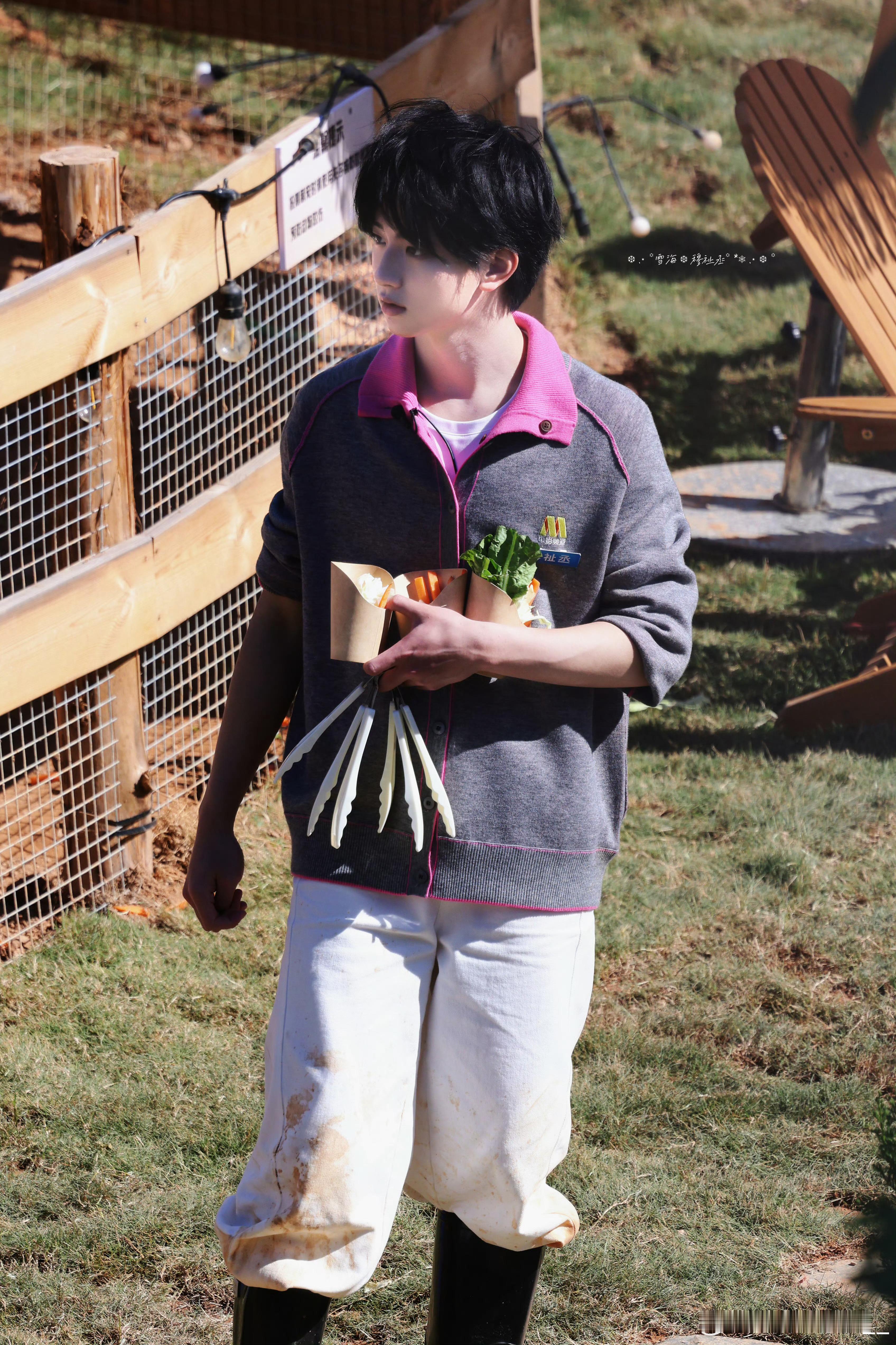 🍊 “星星在夜晚散落，太阳渐渐聚集橘黄，斜阳落在你身 黛眉满是温柔.”