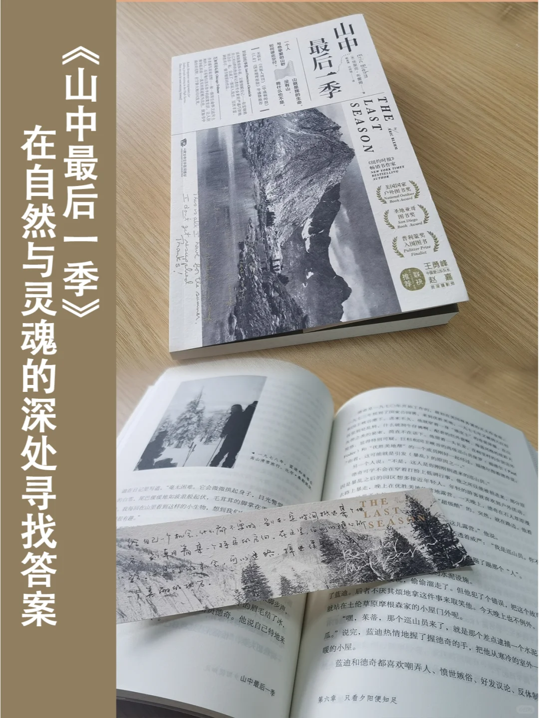 在自然与灵魂的深处寻找答案