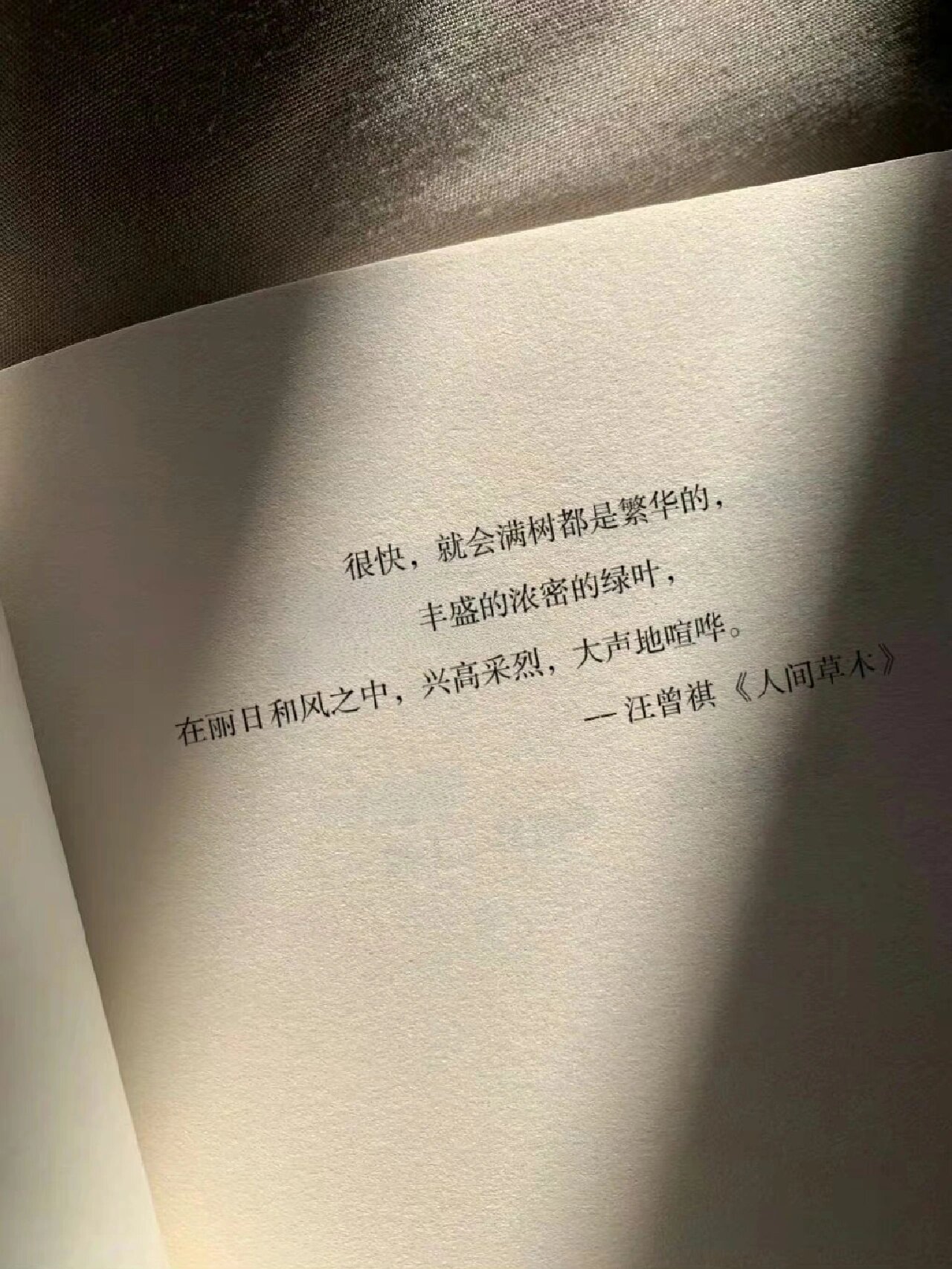 “愿你崭新的时光通透温热” ​​​