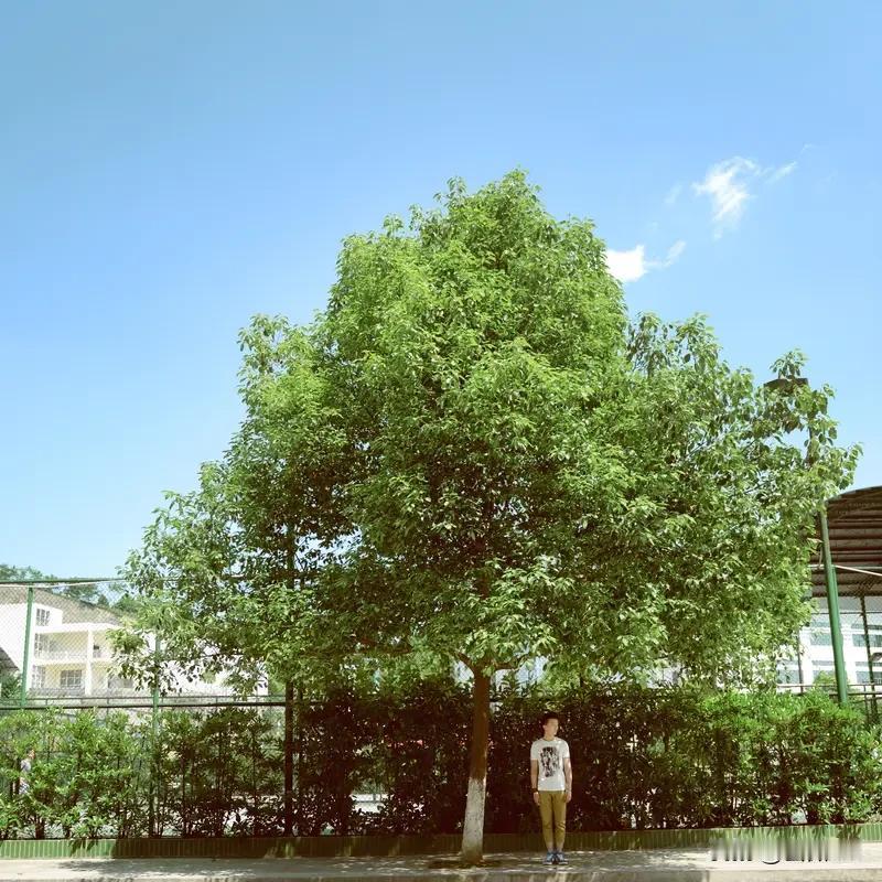 在股市  千万不要相信直觉  直觉都是错的  因为你的直觉恰好也是别人的直觉  