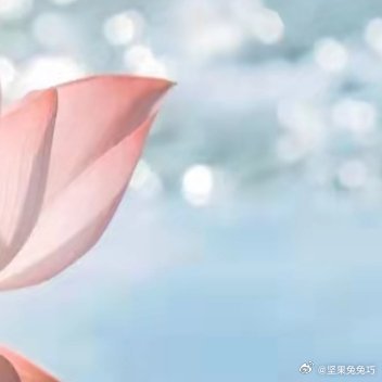 你总要为了梦想，全力以赴一次。管它什么流言蜚语，做自己。赢，也要赢的漂亮。在最平