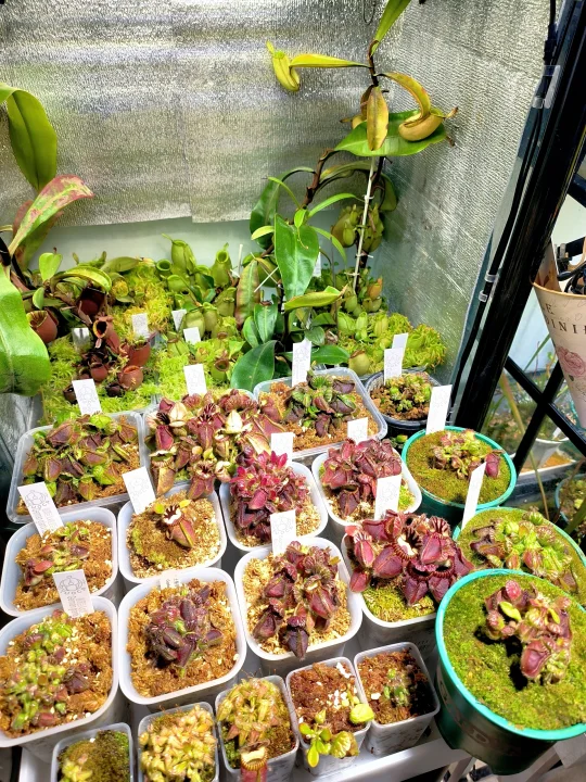 好羡慕这个主包!好想拥有!!