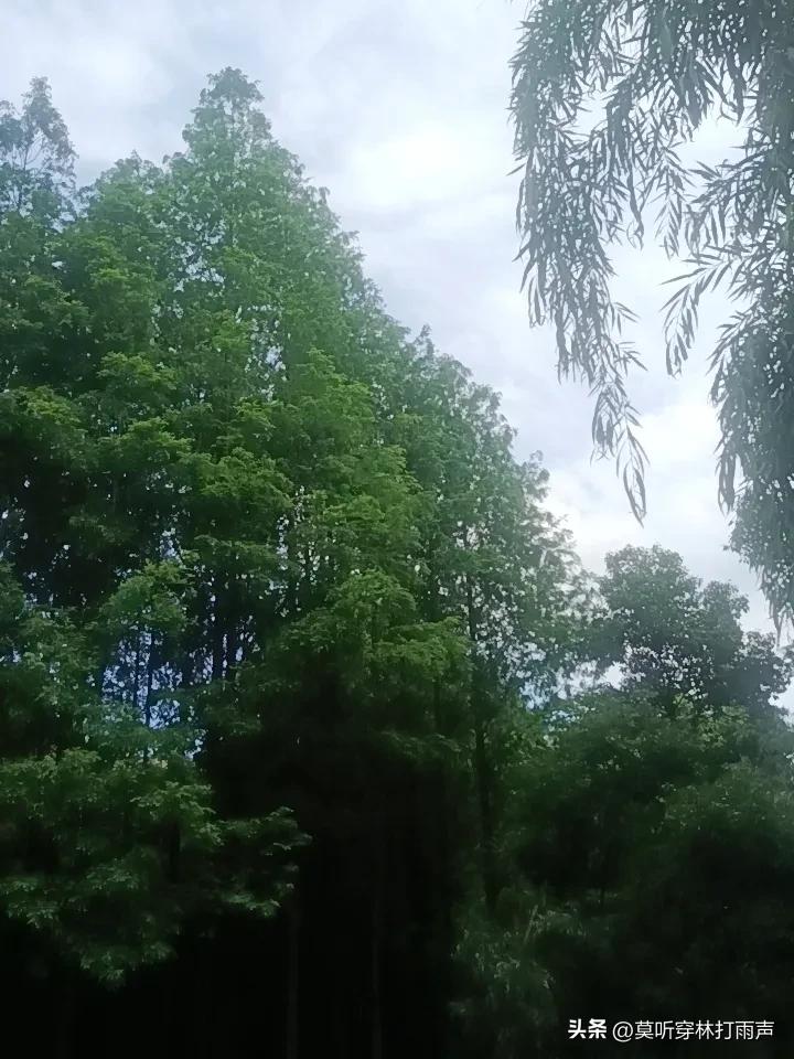一花独开不是春，百花齐放才是春。股市行情是牛市吗？

今天股市继续反弹，可股民抱