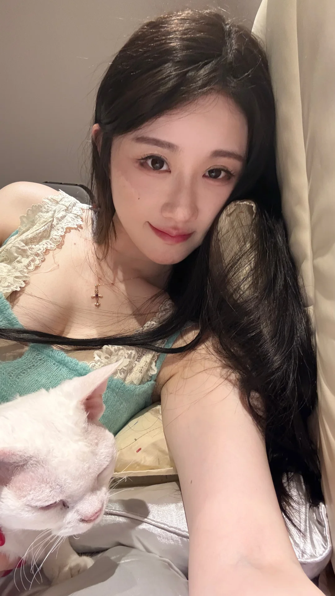 撒娇小猫