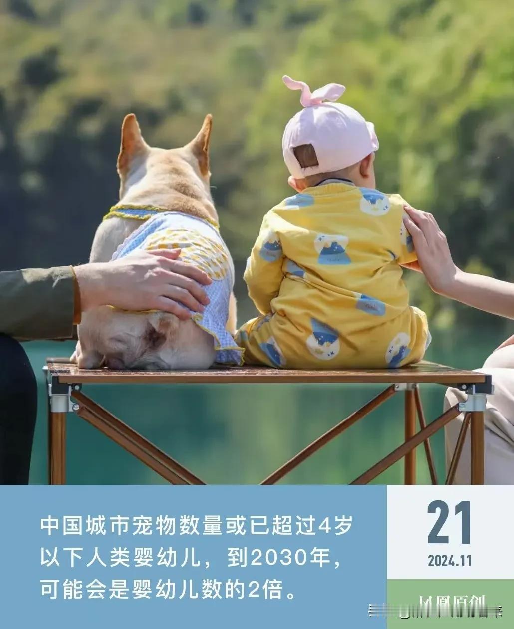 目前宠物饲养数已经超过四岁儿童，可见未来宠物产业是朝阳产业啊。