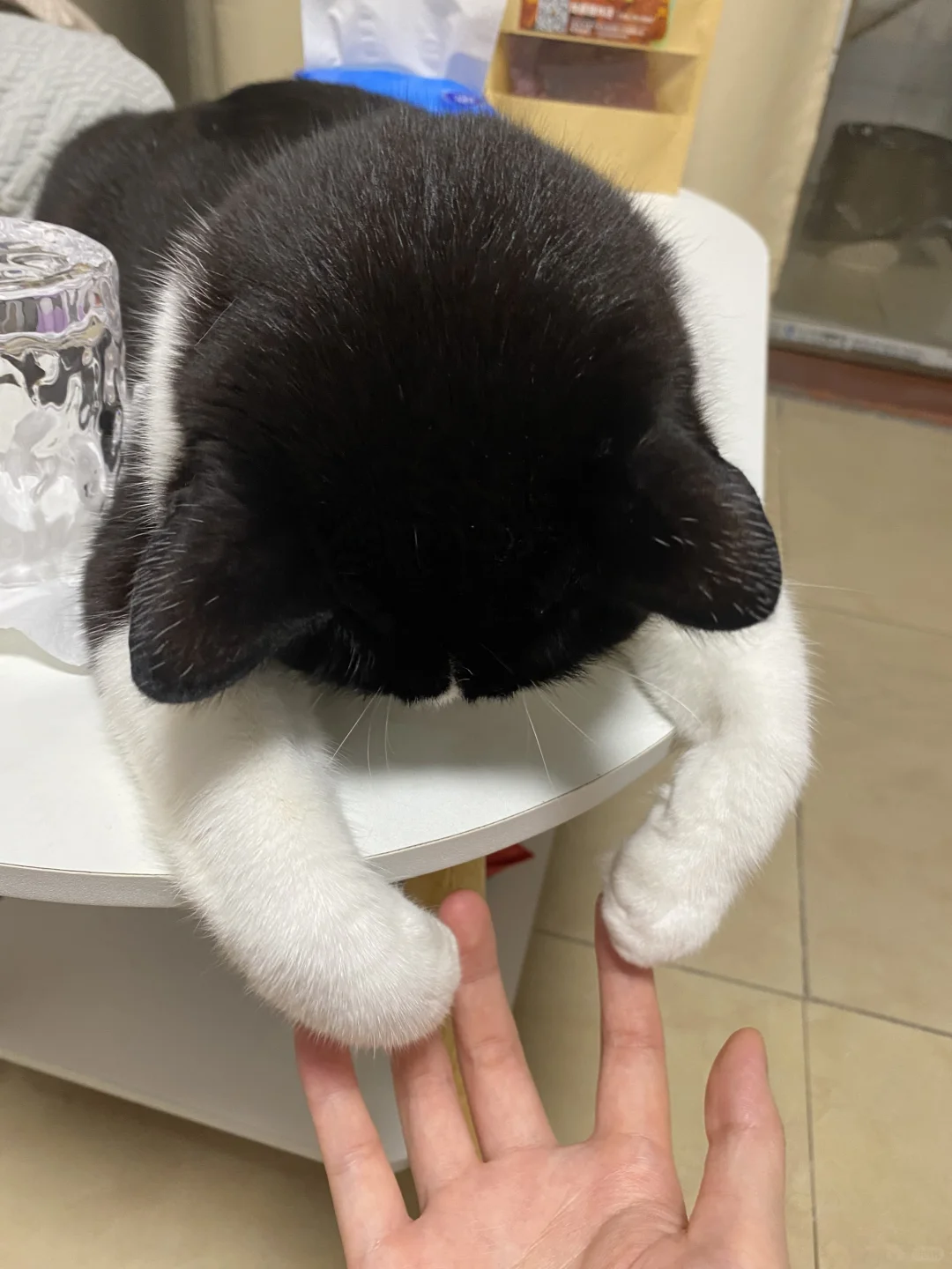 圆咕隆咚小脑袋，想一口吃掉