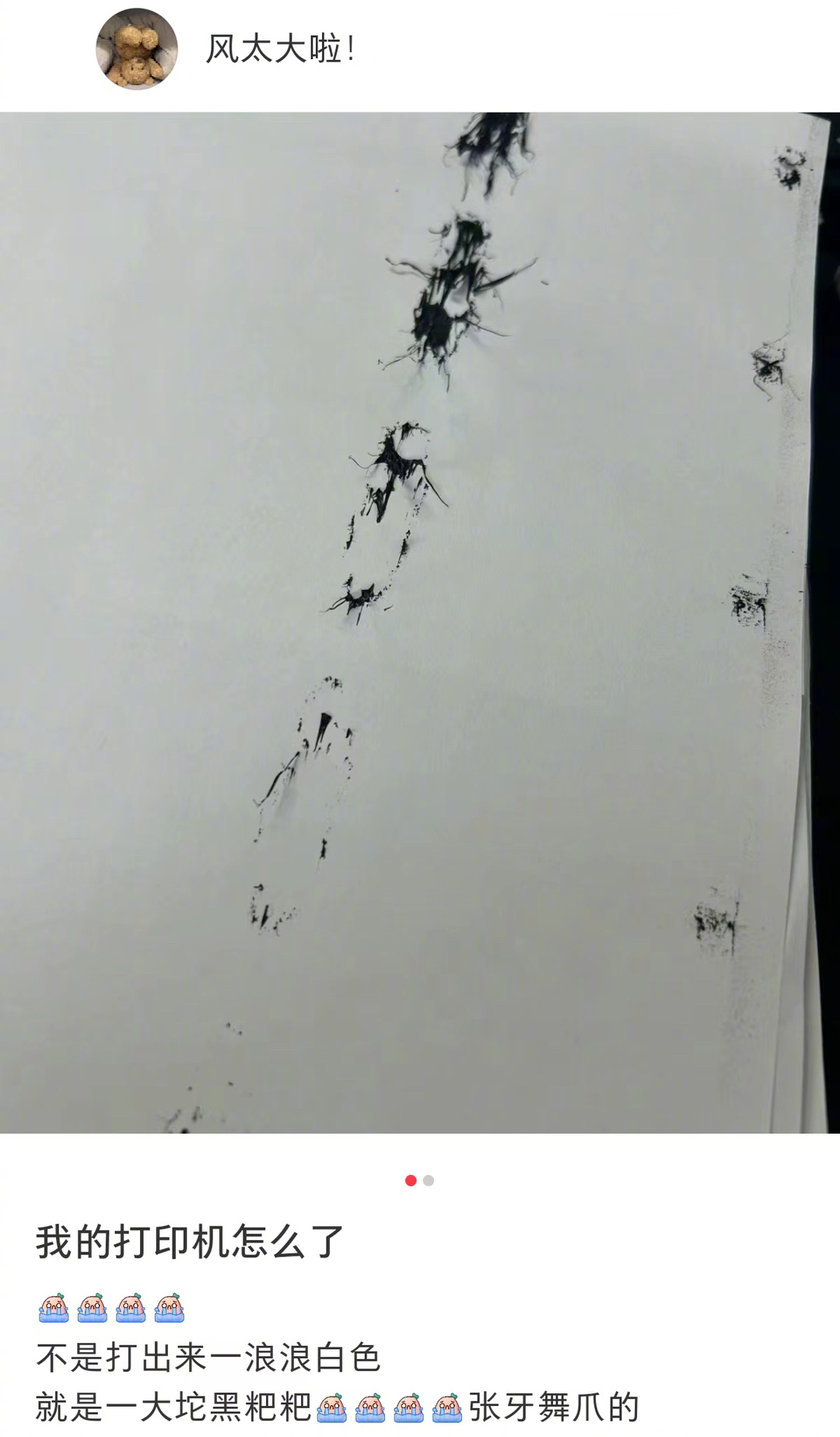 你人还怪好 给蟑螂复印证件照 ​​​